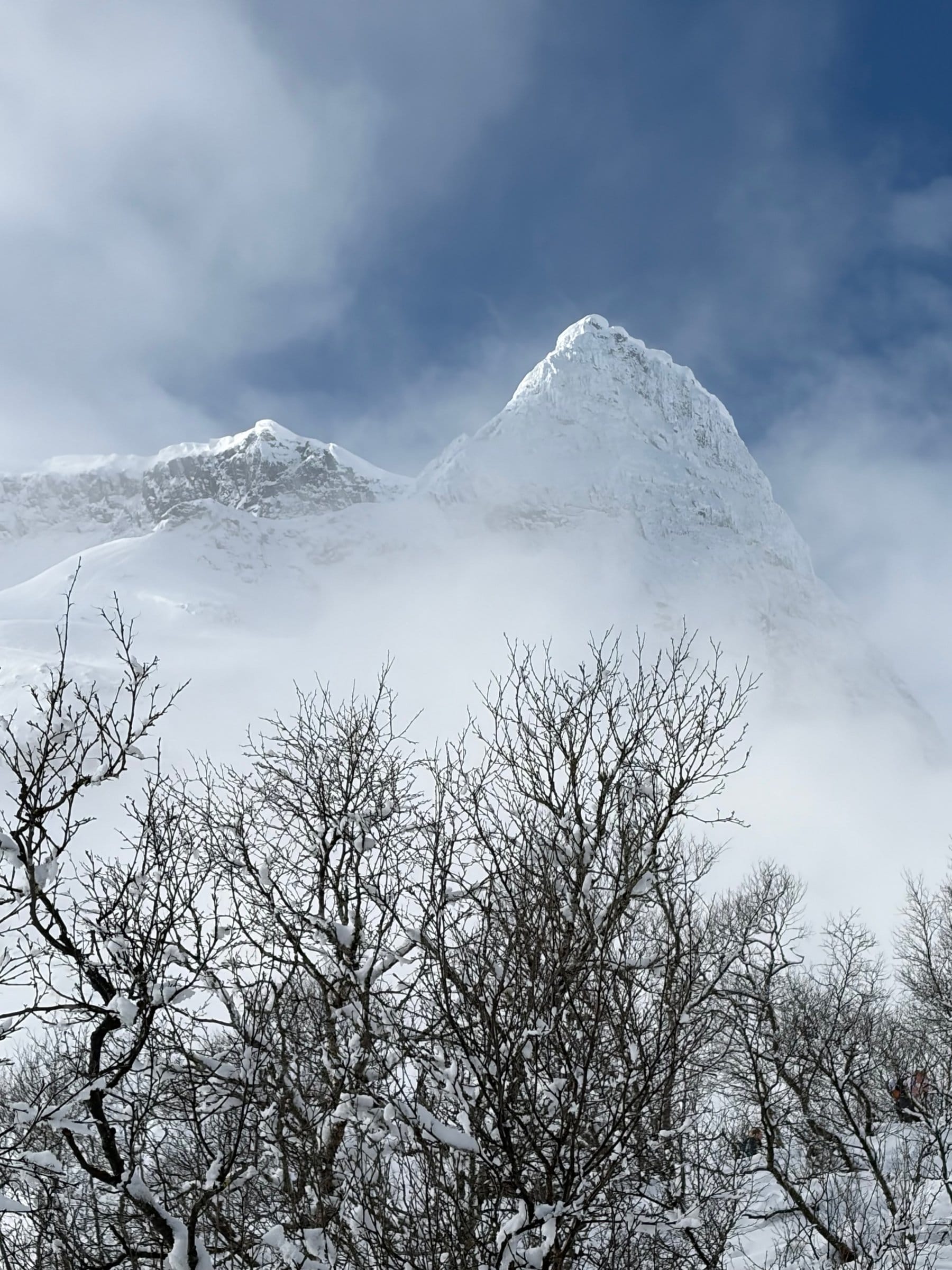 Snødekte tvillingtopper på Kvitegga som stiger frem gjennom drivende tåke over rimfrosne bjørketrær om vinteren.
